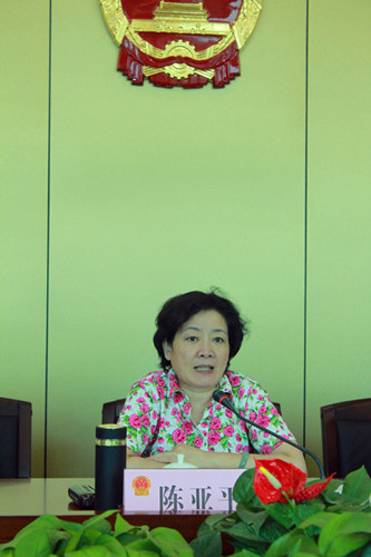 省人大民宗侨外委副主任陈亚平在汇报会上讲话_副本.jpg